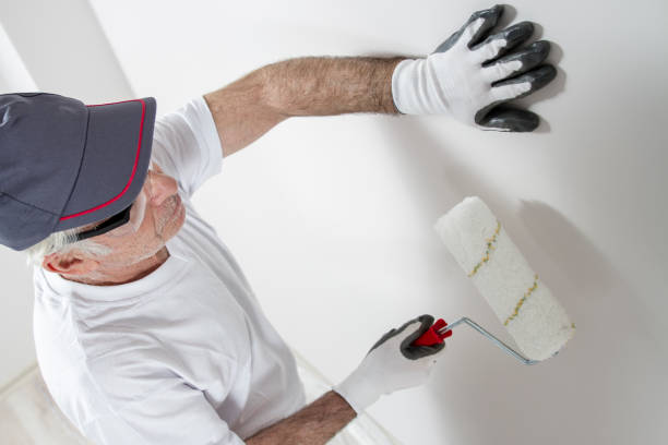Best Biohazard Mold Removal  in Dolton, IL
