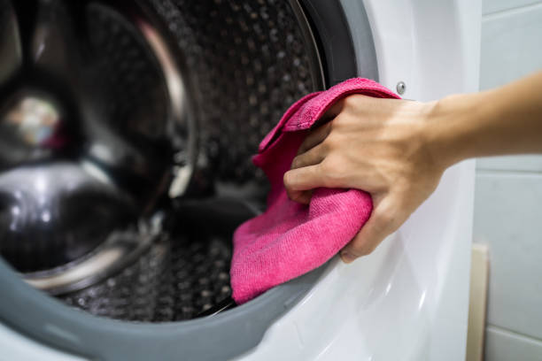 Best Dehumidification Services  in Dolton, IL