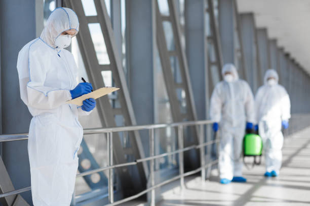 Dehumidification Services in Dolton, IL