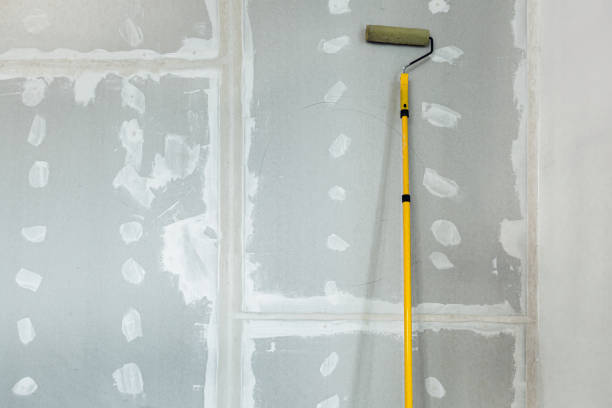 Best Mold Odor Removal Services  in Dolton, IL