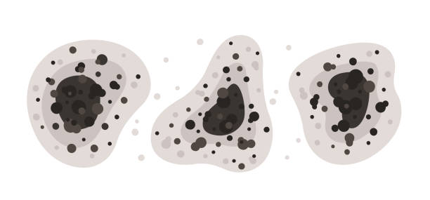 Best Air Quality Testing for Mold Spores  in Dolton, IL