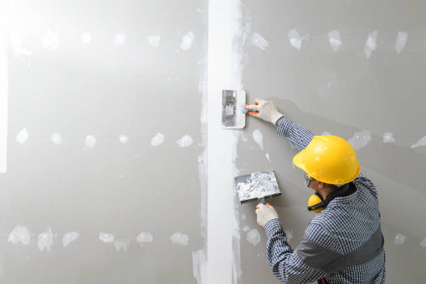 Professional Mold Removal in Dolton, IL