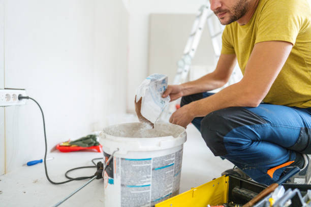 Best Black Mold Removal  in Dolton, IL