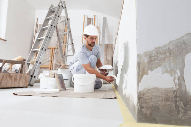 Best HVAC Mold Inspection and Cleaning  in Dolton, IL