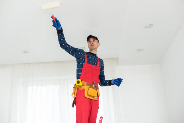 Best Environmental Consulting for Mold Prevention  in Dolton, IL