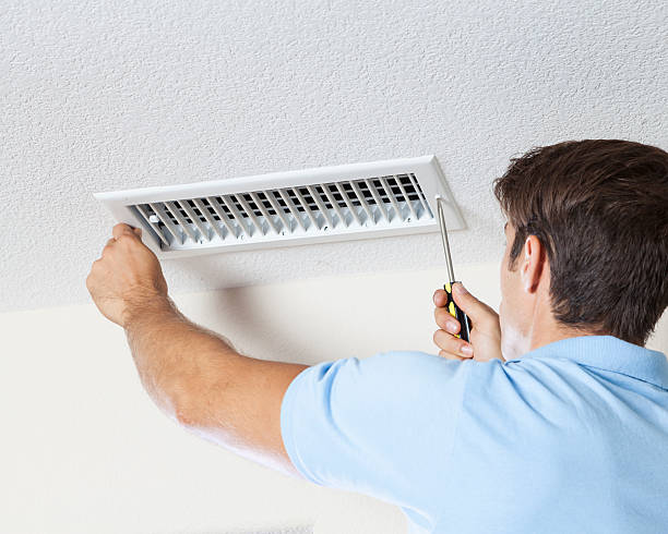 Best Mold Remediation for Healthcare Facilities  in Dolton, IL