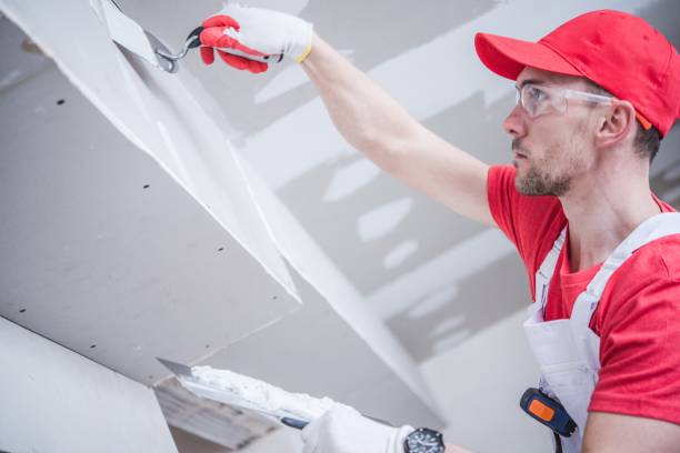 Best Industrial Mold Remediation  in Dolton, IL